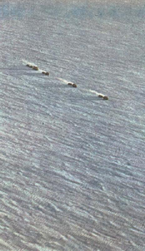 william r clark fuchs karavan av snovesslor startar mot sydpolen fran shackletonlagret vid weddellhavet oil painting picture
